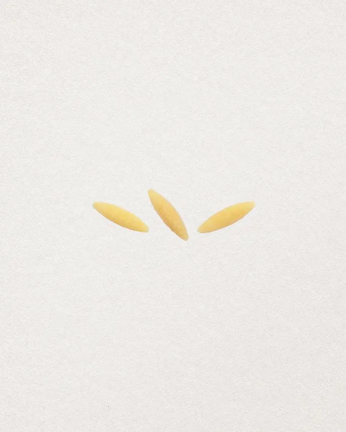 ORZO
