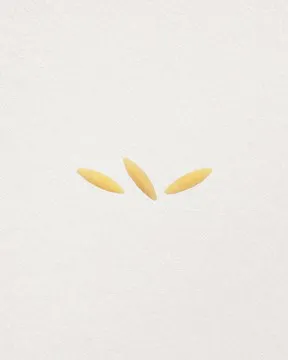 ORZO
