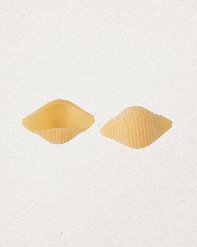 CONCHIGLIE RIGATE