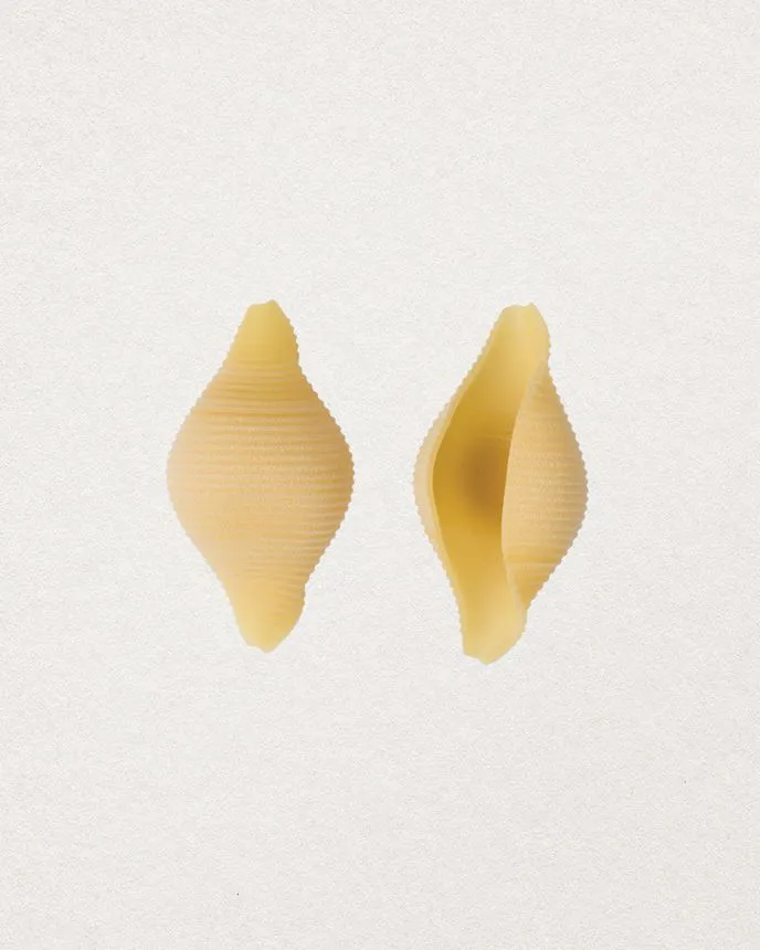 CONCHIGLIONI 