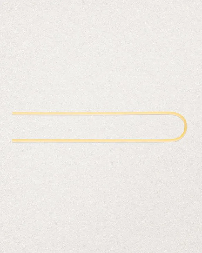 SPAGHETTONI LONGS DI GRAGNANO 2,2 mm