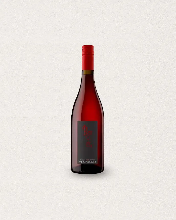 6 BRACHETTO - BRICHET