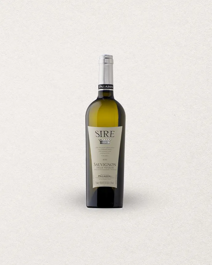   SAUVIGNON SIRE - IGT   VÉNÉTIE - 2023