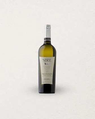 6 SAUVIGNON SIRE - IGT   VÉNÉTIE - 2023