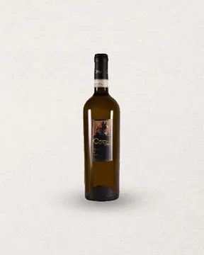 GRECO di TUFO - DOCG   CAMPANIE - 2022