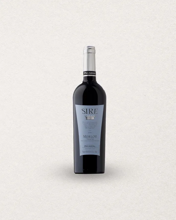 MERLOT SIRE -  VÉNÉTIE - IGT   2023