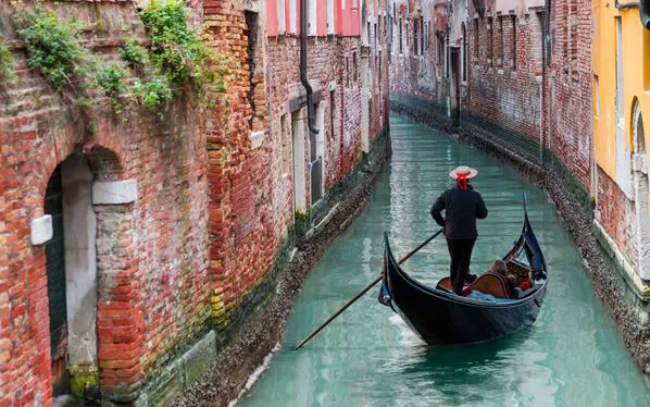      V&eacute;n&eacute;tie